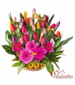 Canasta Tulipanes y Gerberas