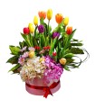 Box con Tulipanes