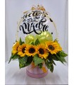 Box de Girasoles