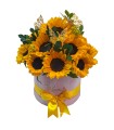 Box de girasoles