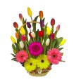 Canasta con 20 Tulipanes y gerberas